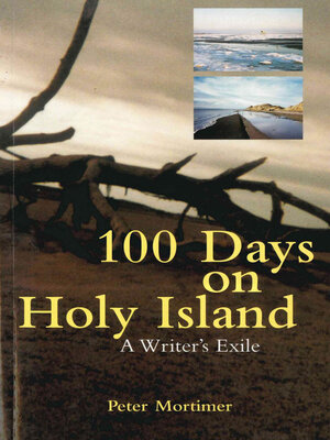 cover image of 100 Days On Holy Island